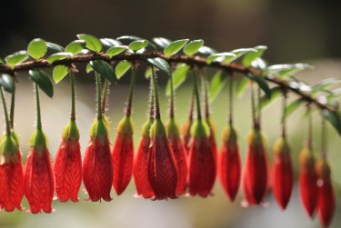 广州花都区私人快速借钱网，轻松解决资金难题