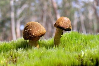 广州花都区私人老板放款：轻松融资的秘密通道